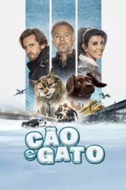 Cão e Gato